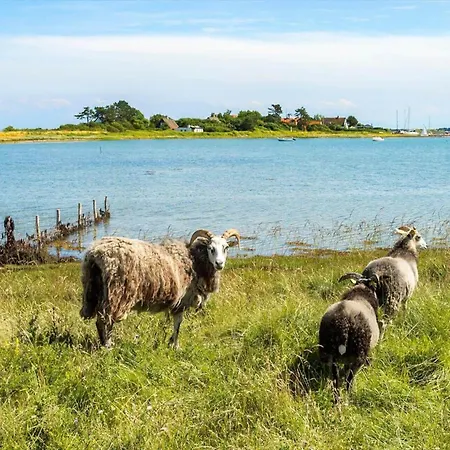 20205-samso-anemonevej-5 *